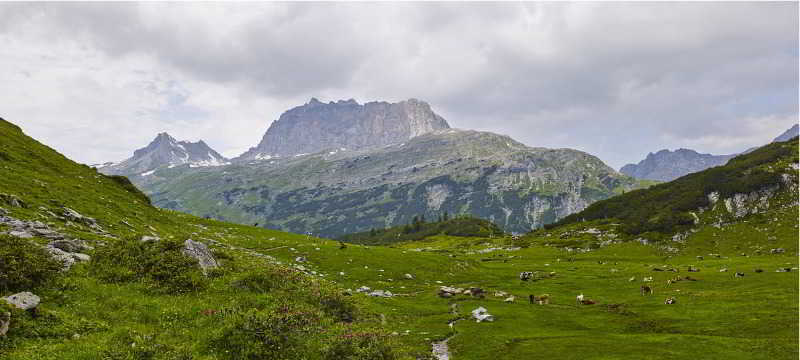 Hotel Sonnblick Wald am Arlberg Exterior foto